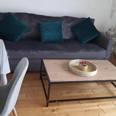Apartment Astonishing Luxury In The South Of Paris